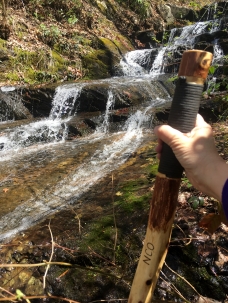 My cedar hiking stick at Waycaster Spring Falls